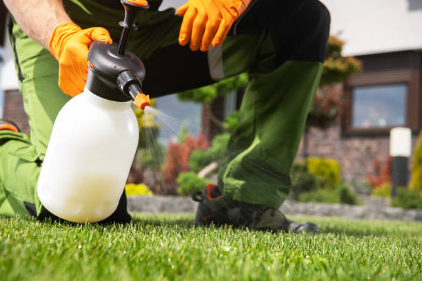 Best Affordable Pest Control Services  in Haskell, TX