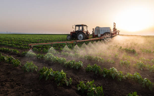 Best Best Pest Control Companies  in Haskell, TX