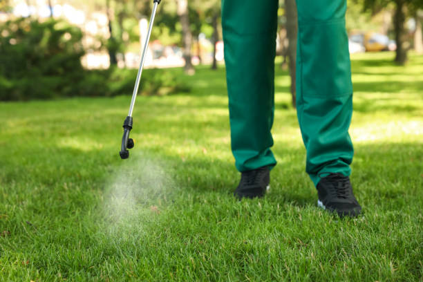 Best Pest Removal Services  in Haskell, TX