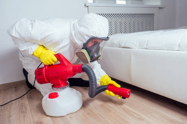 Best Pest Control for Homes  in Haskell, TX