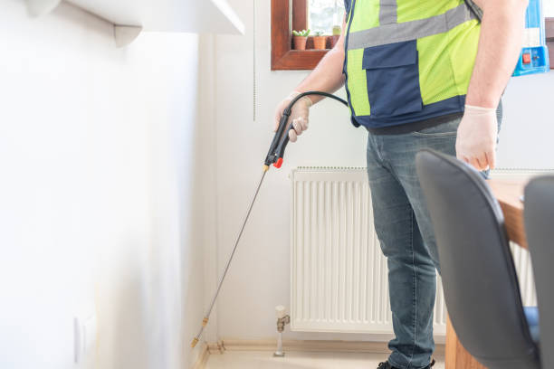 Best Pest Control Treatment  in Haskell, TX