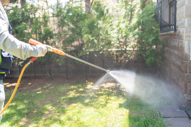 Best Termite Control Services  in Haskell, TX