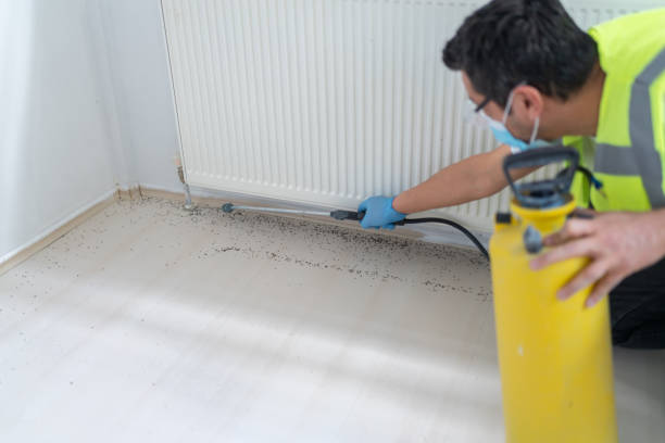 Best Best Pest Control Companies  in Haskell, TX