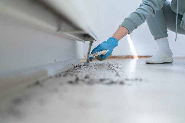 Best Exterminator Services  in Haskell, TX